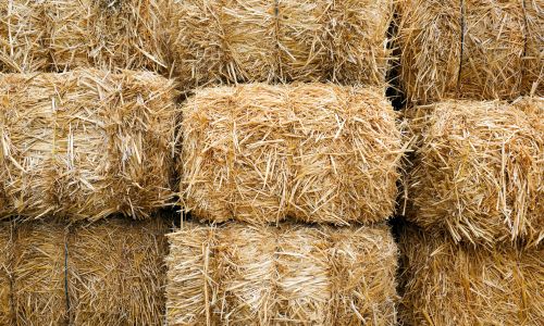 Wheet Straw